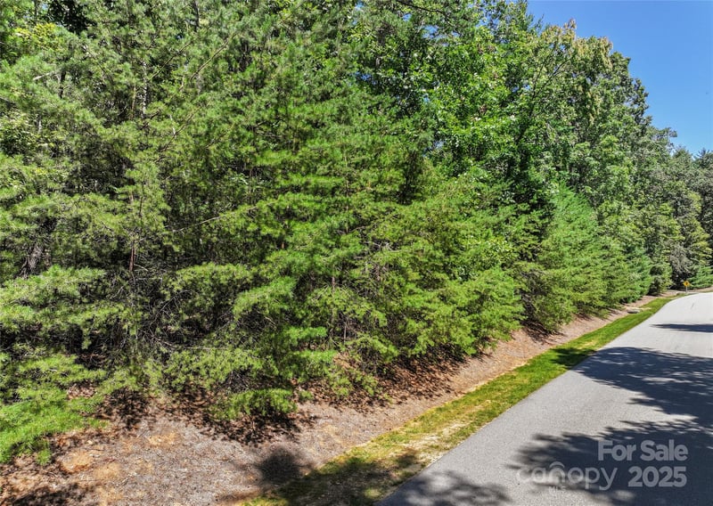 15 Mirehouse Rn, Asheville, NC 28803