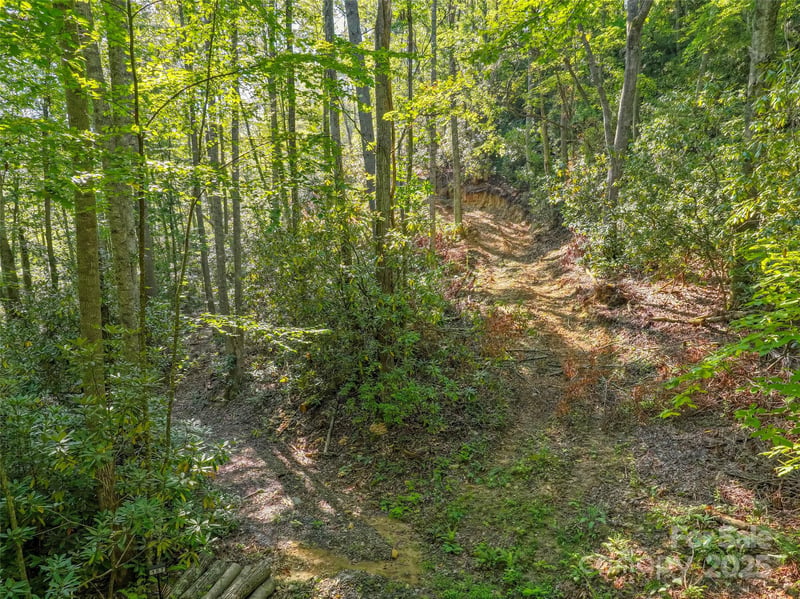 Lot 4 Rosewood Ln, Burnsville, NC 28714