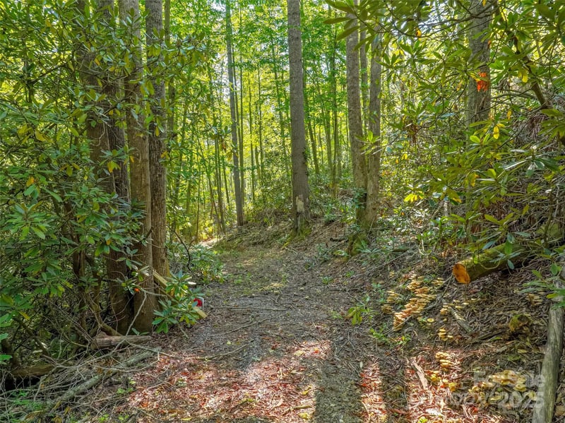 Lot 4 Rosewood Ln, Burnsville, NC 28714