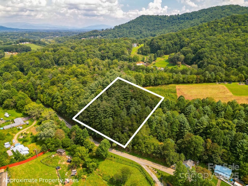 99999 Morgan Cove Rd, Candler, NC 28715