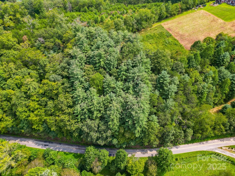 99999 Morgan Cove Rd, Candler, NC 28715