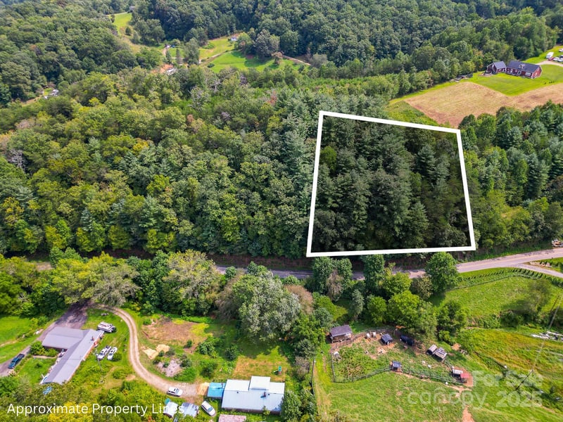 99999 Morgan Cove Rd, Candler, NC 28715