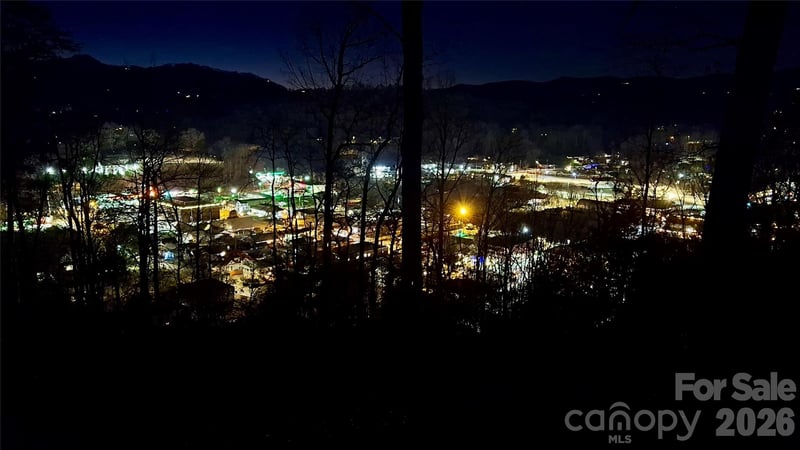 81 Bacon Dr, Bryson City, NC 28713