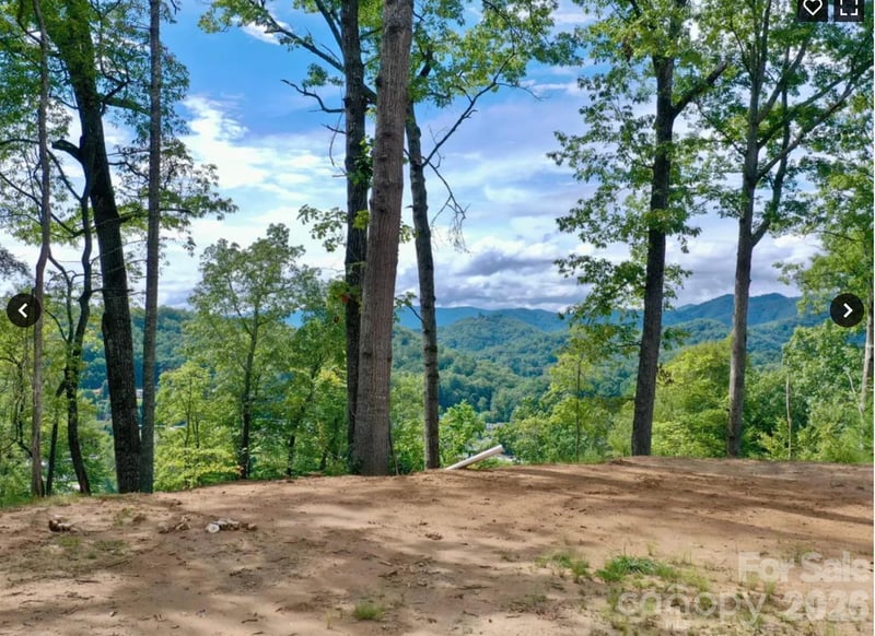 81 Bacon Dr, Bryson City, NC 28713