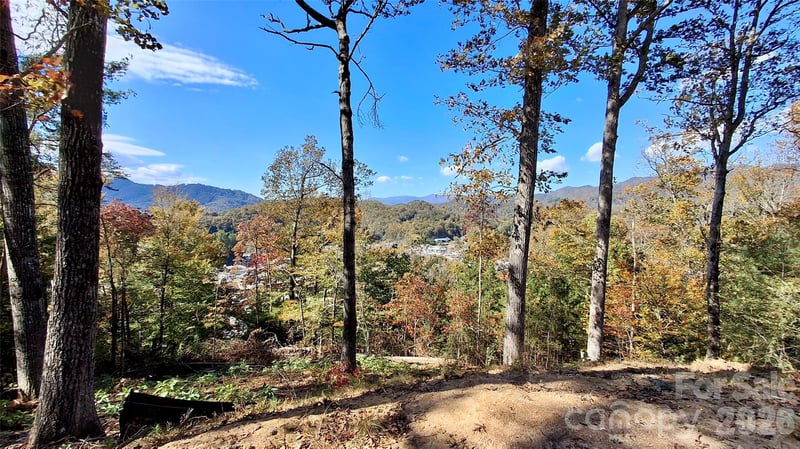 81 Bacon Dr, Bryson City, NC 28713