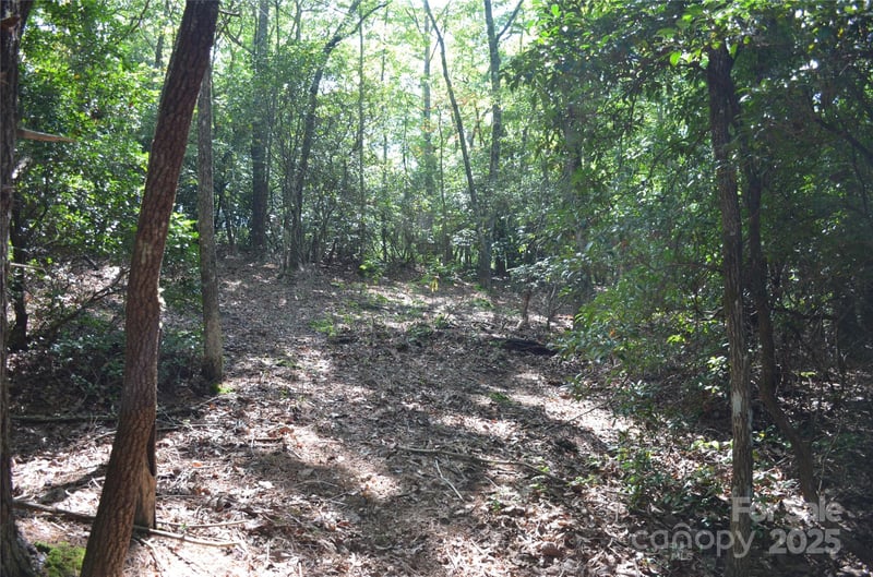 Lot 9 Galax Ln #9, Brevard, NC 28712