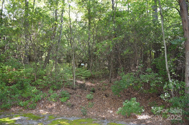 Lot 9 Galax Ln #9, Brevard, NC 28712