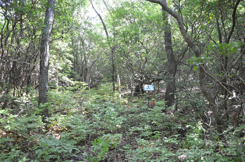 Lot 9 Galax Ln #9, Brevard, NC 28712