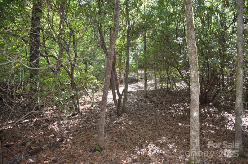 Lot 9 Galax Ln #9, Brevard, NC 28712