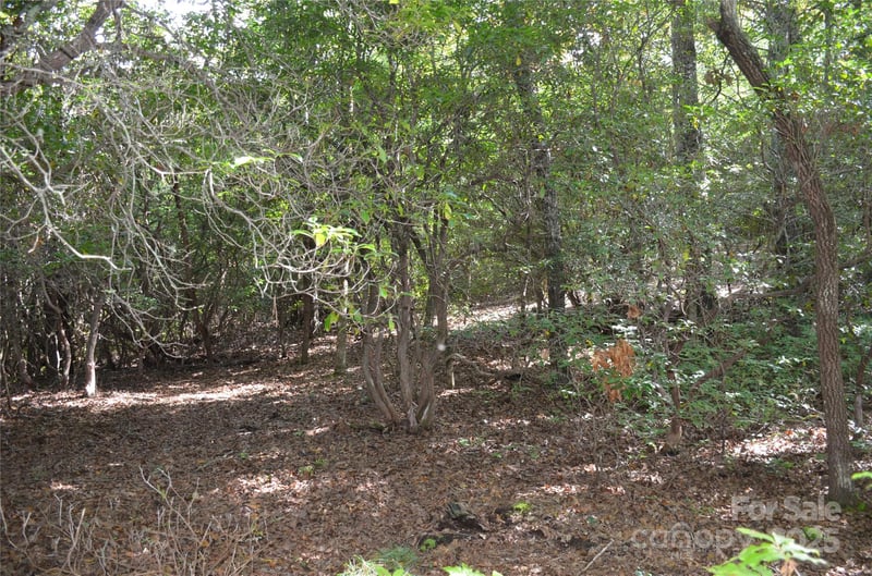 Lot 9 Galax Ln #9, Brevard, NC 28712
