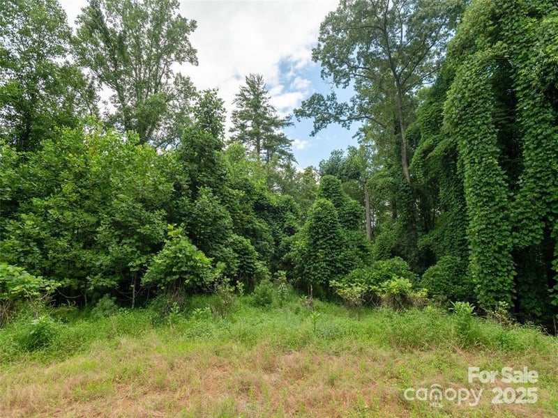 00 Willow Brook Falls None #3, Hendersonville, NC 28739