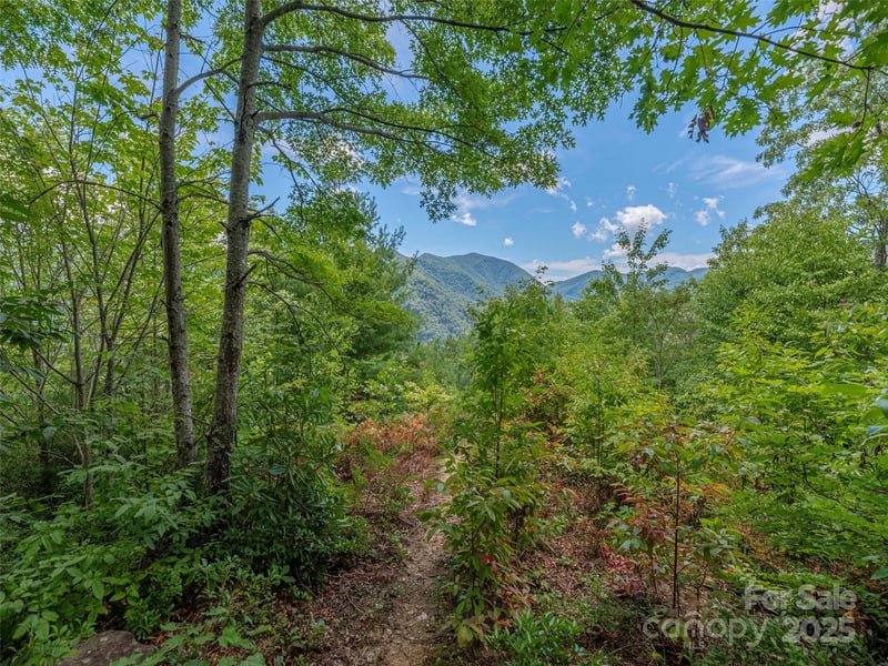 00 Split Rail Dr, Maggie Valley, NC 28751