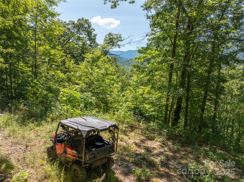 9999 Cindy Cove Trl, Robbinsville, NC 28771