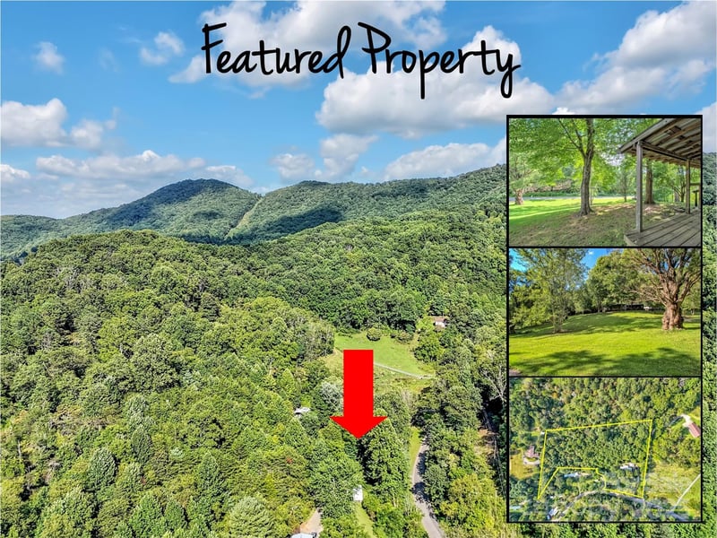 323 Jody Cv, Canton, NC 28716