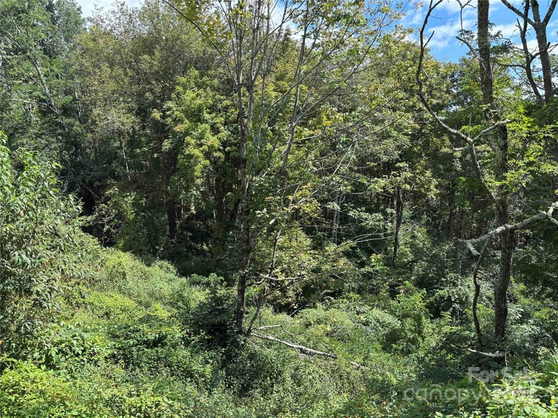 TBD Linhigh Dr #66, Newland, NC 28657