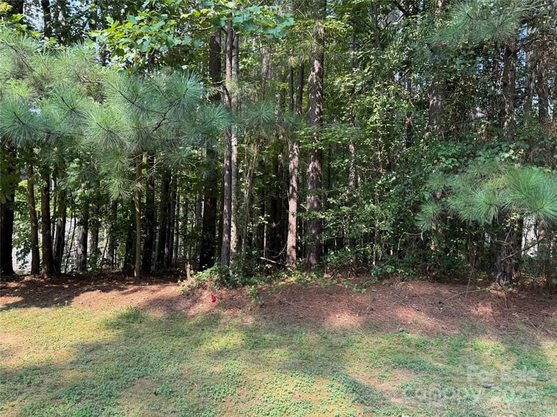 2347 Capes Cove Dr, Sherrills Ford, NC 28673