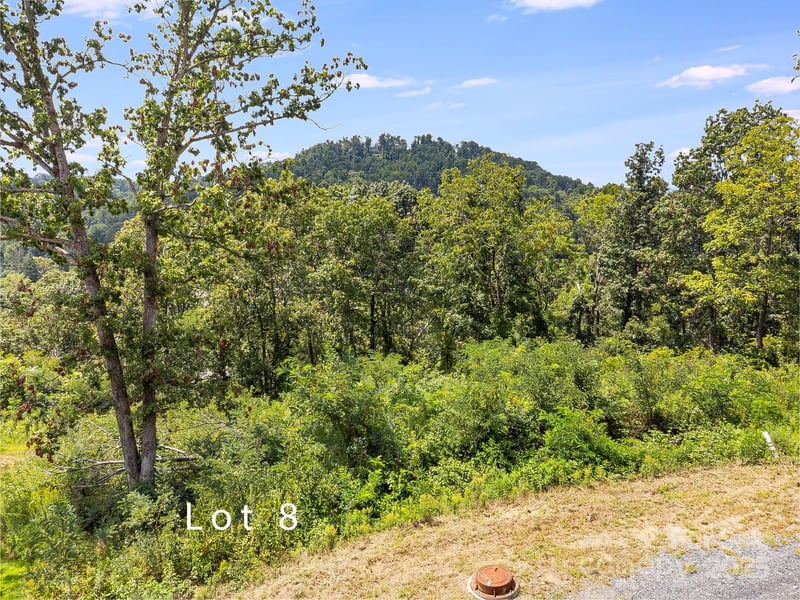 344 Espen Rg #8, Woodfin, NC 28804