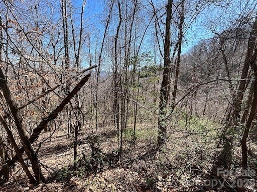 52 Hope View Rd, Swannanoa, NC 28778