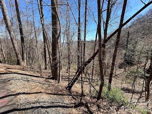 52 Hope View Rd, Swannanoa, NC 28778