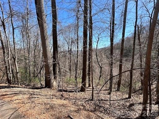 52 Hope View Rd, Swannanoa, NC 28778