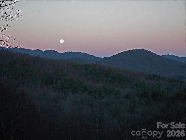 52 Hope View Rd, Swannanoa, NC 28778