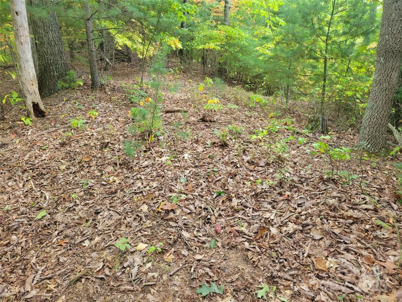 Pinewood Dr #5, Waynesville, NC 28786