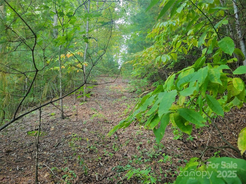 Pinewood Dr #5, Waynesville, NC 28786