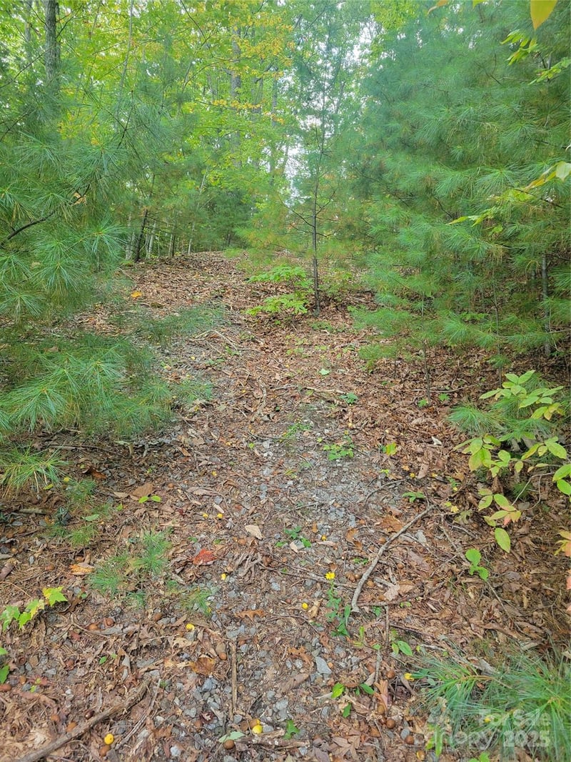 Pinewood Dr #5, Waynesville, NC 28786