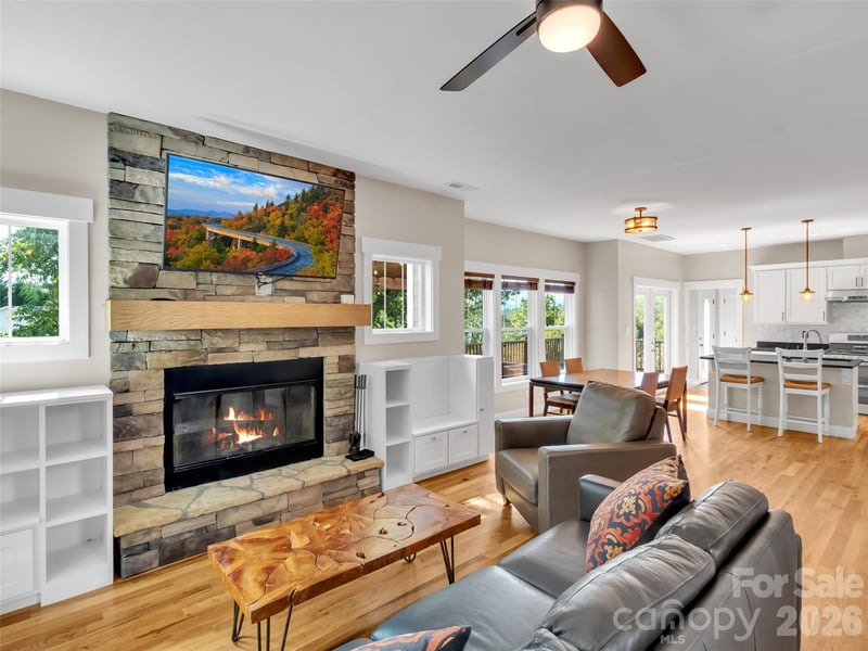 17 Elkmont Ter, Asheville, NC 28804