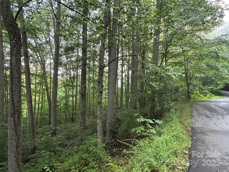 100 Lindon Cove Rd #35, 36, Candler, NC 28715