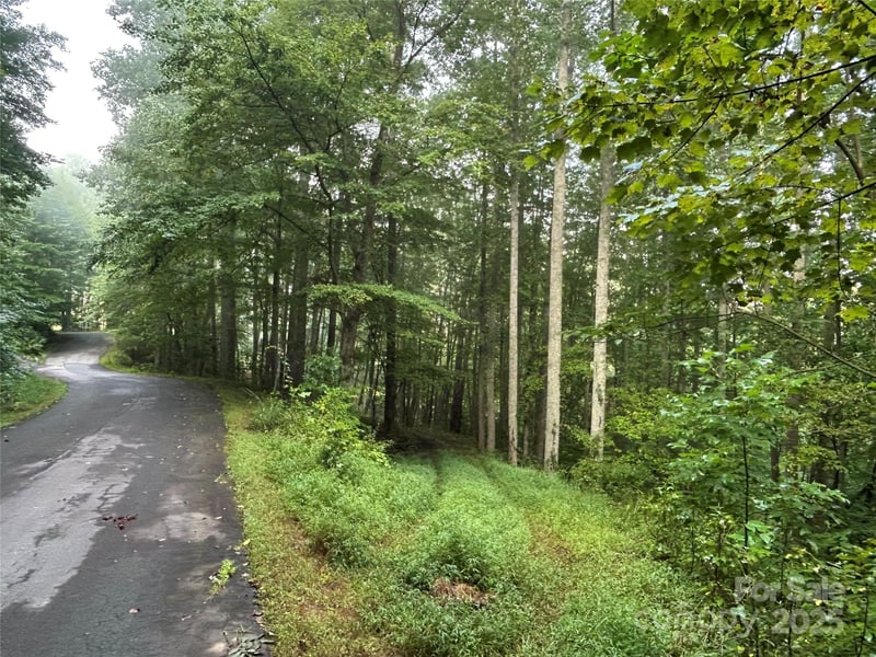 100 Lindon Cove Rd #35, 36, Candler, NC 28715