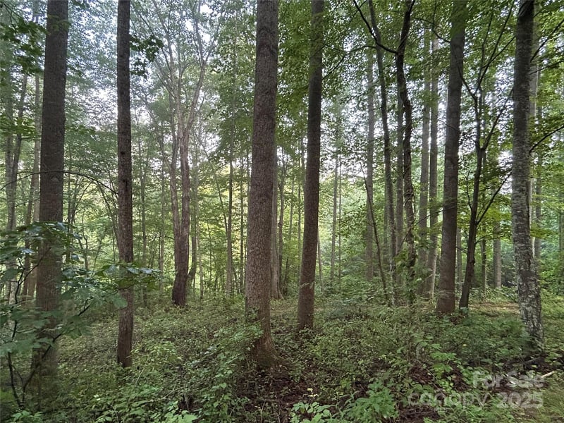 100 Lindon Cove Rd #35, 36, Candler, NC 28715