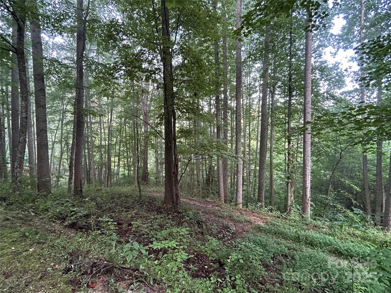 100 Lindon Cove Rd #35, 36, Candler, NC 28715