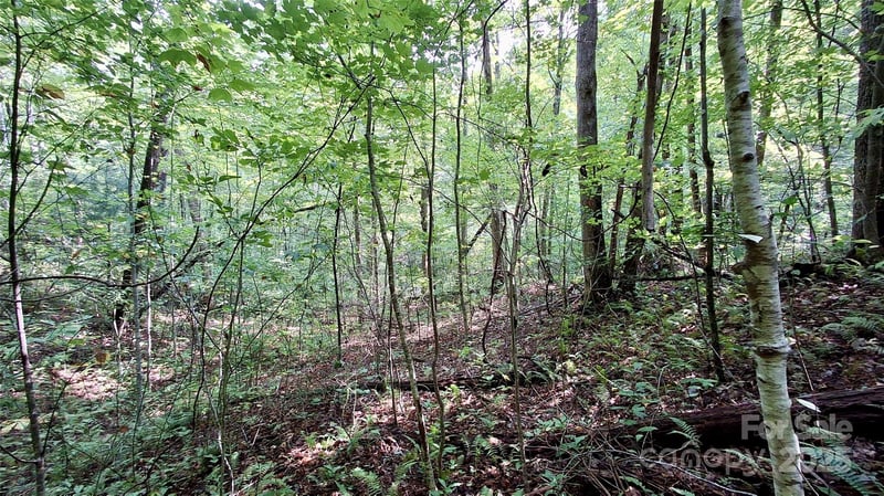 Cross Creek Cir, Sylva, NC 28779