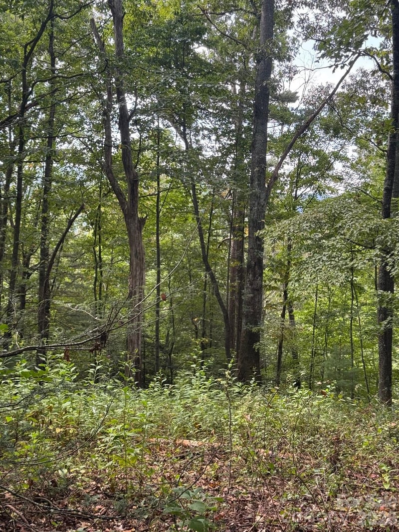 110 Stone Valley Way #20, Hendersonville, NC 28792
