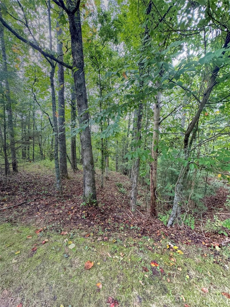 110 Stone Valley Way #20, Hendersonville, NC 28792