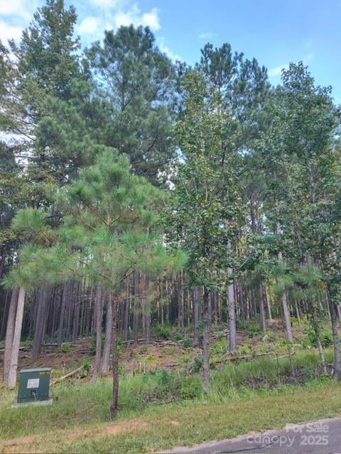 Lot 109 Riverbluff Ln, Lilesville, NC 28091