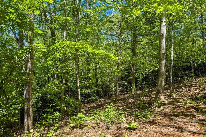 tbd Hunting Lodge Dr #9, Black Mountain, NC 28711
