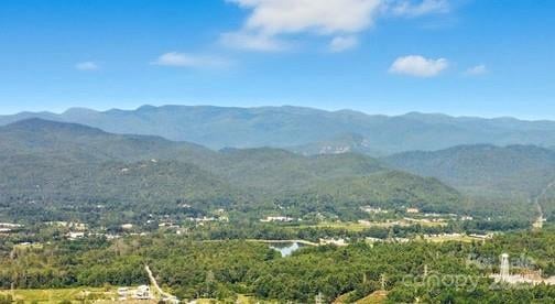 11 Reserve Rd, Pisgah Forest, NC 28768