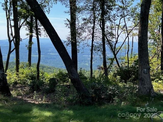 462 Garden Trl #37, Hendersonville, NC 28792