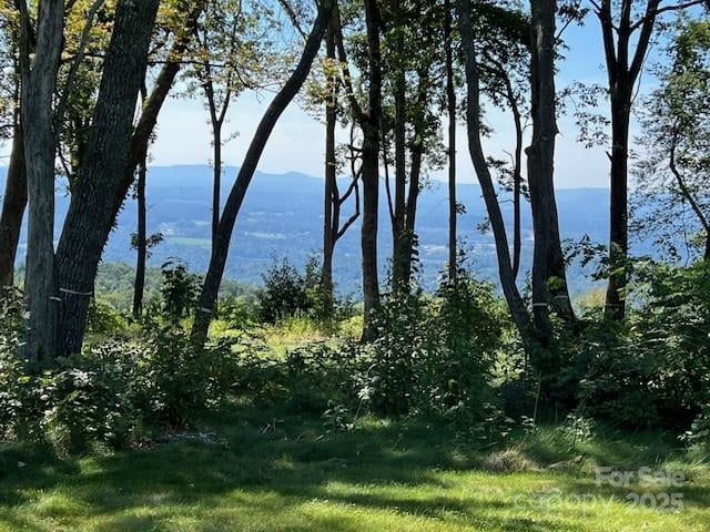 462 Garden Trl #37, Hendersonville, NC 28792