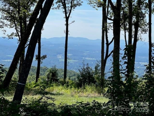 462 Garden Trl #37, Hendersonville, NC 28792