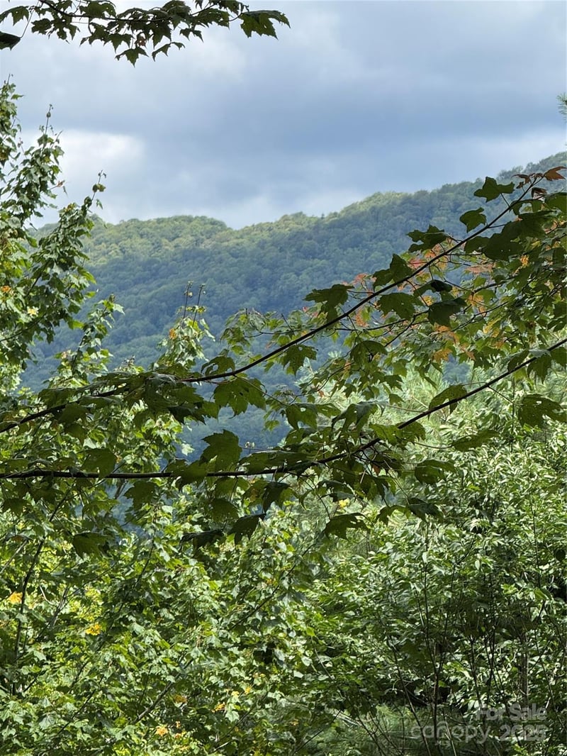 175 Ridgeview Rd #2, Sugar Mountain, NC 28604