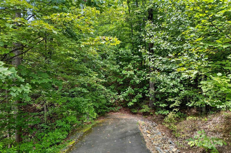 100 Comet Falls Trl #235, Black Mountain, NC 28711