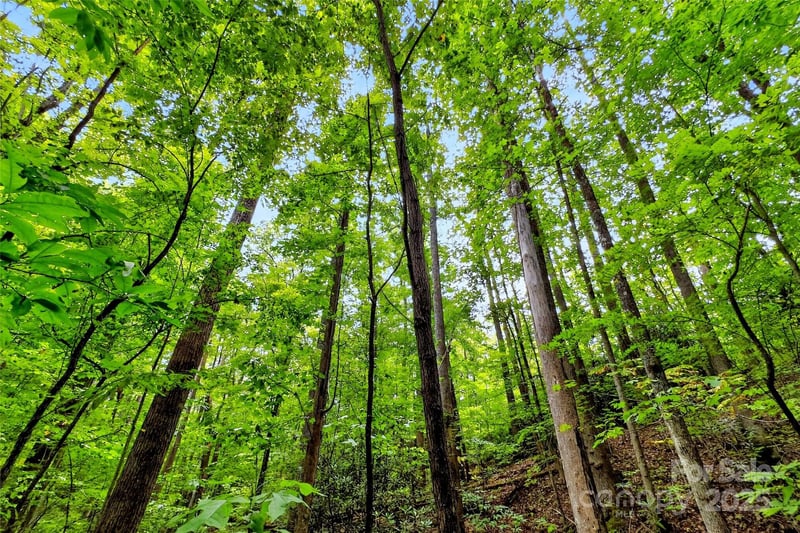 100 Comet Falls Trl #235, Black Mountain, NC 28711