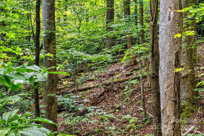 100 Comet Falls Trl #235, Black Mountain, NC 28711