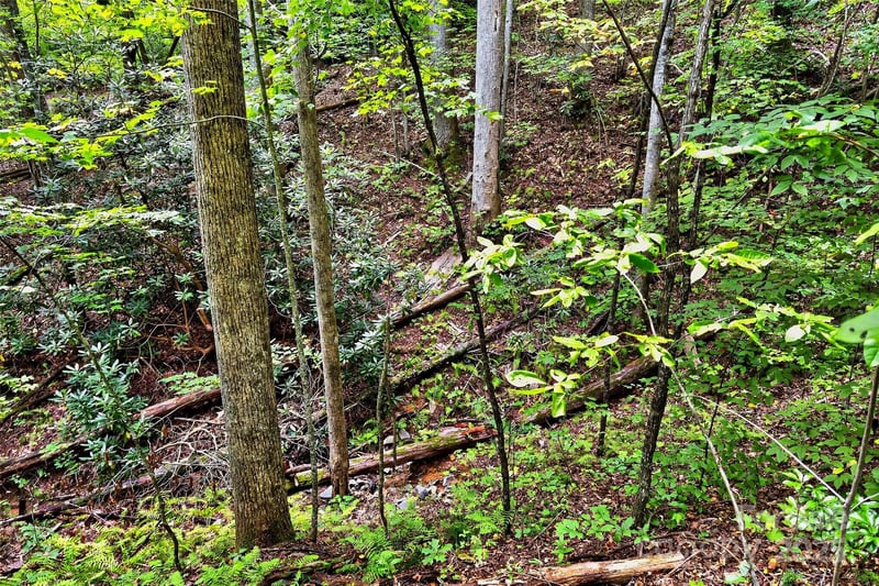 100 Comet Falls Trl #235, Black Mountain, NC 28711