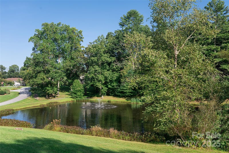 72 Edge Water Ln, Mills River, NC 28759