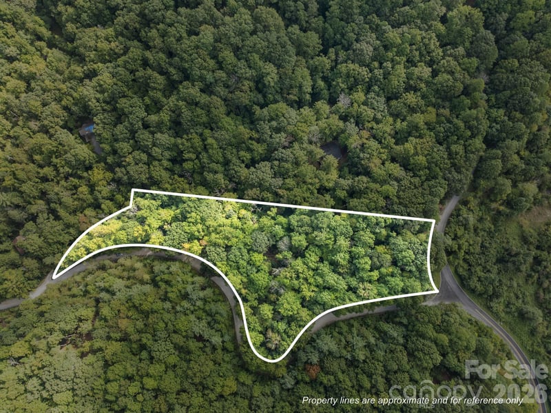 1 Rixhaven Dr, Saluda, NC 28773