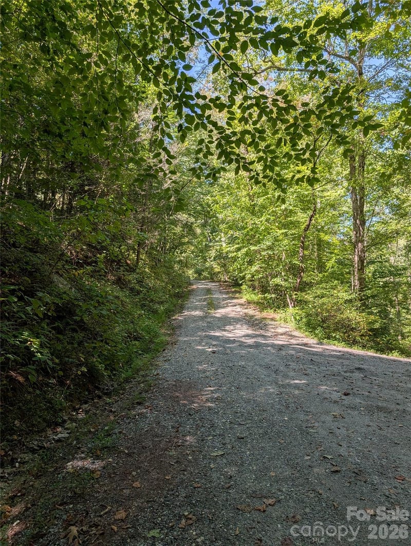 1 Rixhaven Dr, Saluda, NC 28773